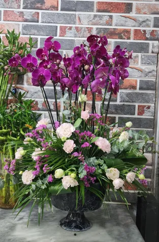 Özel Aranjman orkide