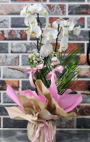 Pembe Ambalajlı Orkide