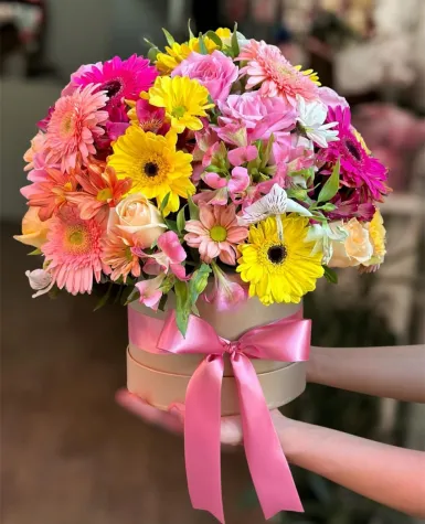 Karışık Renk Kutusu